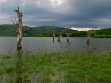 08_1788__IT_00