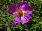 08_1809__IT_00