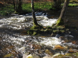 08_0897__F_00