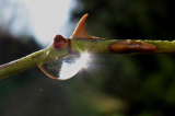 08_1066__F_02