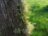 08_1203__F_00