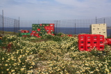 09_1055__GR_00