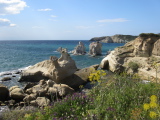 09_1134__GR_00