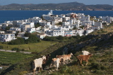 09_1294__GR_00
