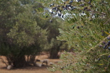 09_3483__GR_00