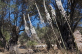 09_3567__GR_00