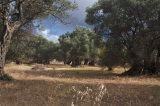 09_3672__GR_00